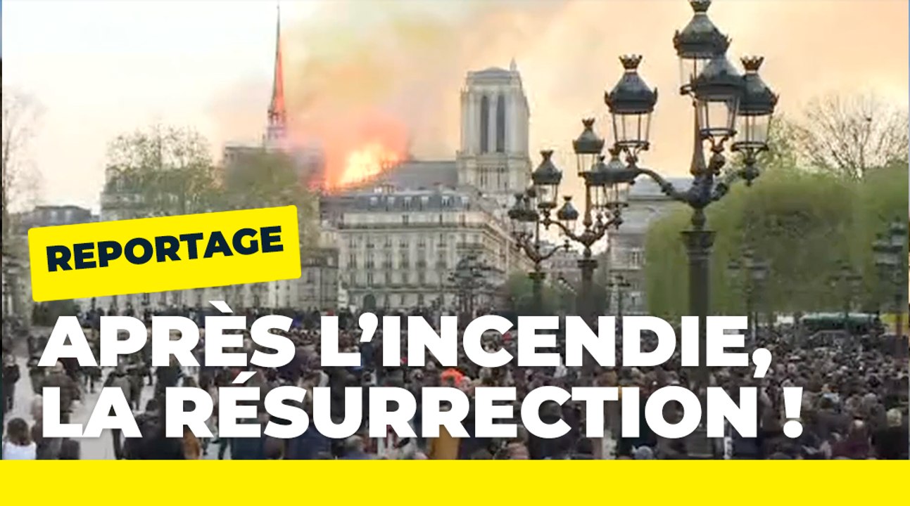 Notre Dame de Paris : de l'incendie à la résurrection | Paris, ville lumière | Ville de Paris