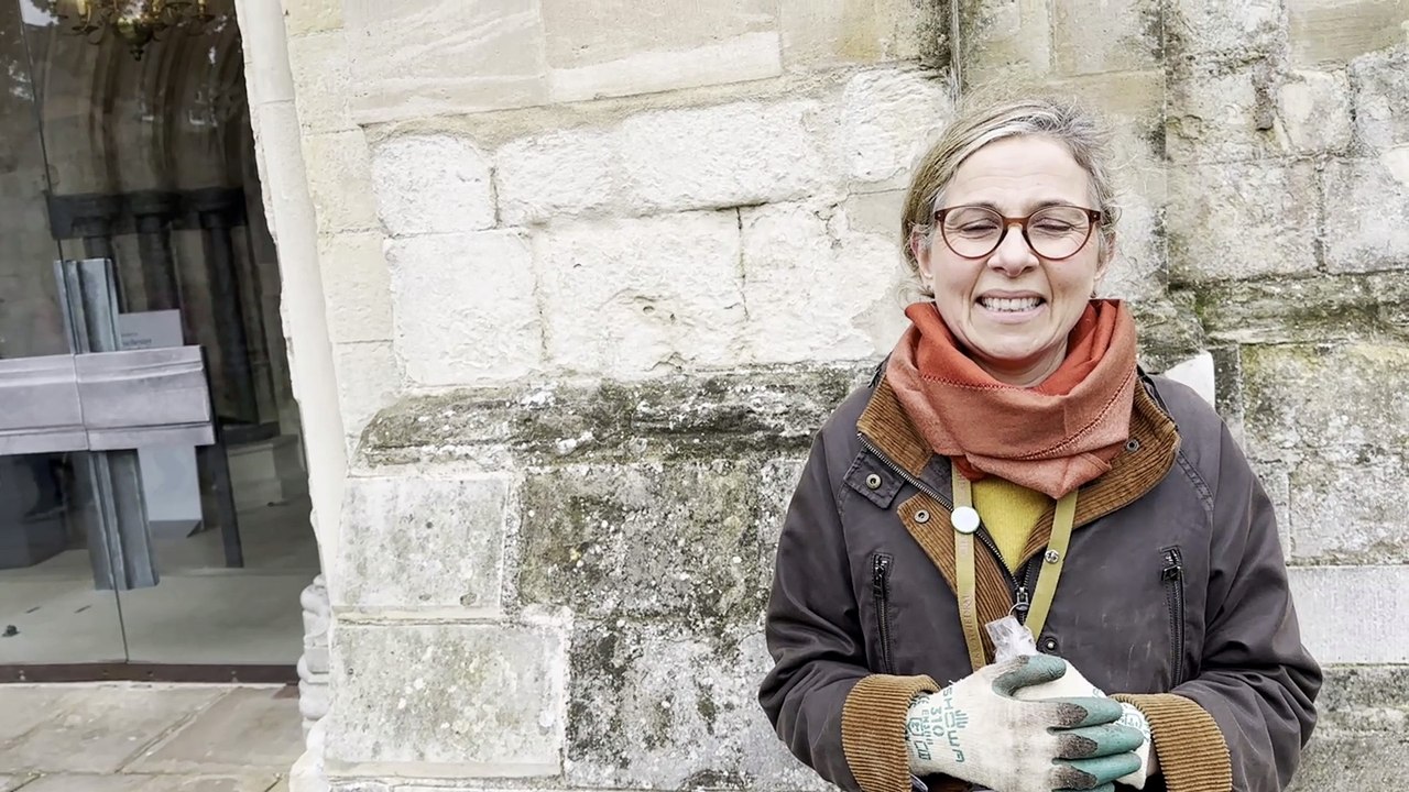 Planting 950 bulbs to celebrate 950 years of Chichester Cathedral