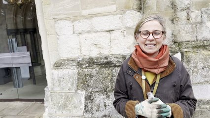 Planting 950 bulbs to celebrate 950 years of Chichester Cathedral