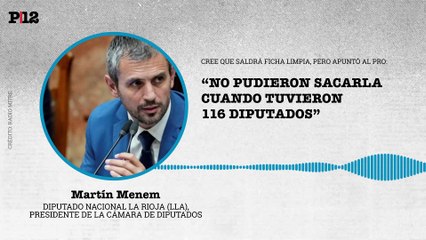 Menem apuntó al PRO por el fracaso del proyecto de ficha limpia y augura más parlamentarios de LLA