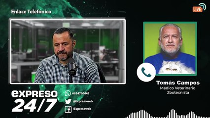 ¿Cómo evitar las garrapatas en mascotas?