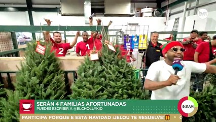 Chollykid en busca de arbolitos de navidad