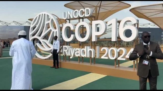 Arabia Saudita, al via la COP16 a Riad sulla desertificazione