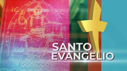 Santa Misa - 02-12-24 - Catedral Metropolitana