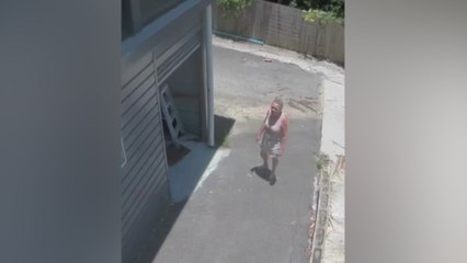 Una pitón se descuelga del techo de su garaje dando a una mujer un susto de muerte