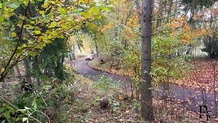 Central European rally