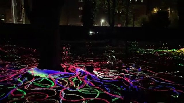 South Shields artists' 'The Mycelium Network' in Newcastle's Leazes Park