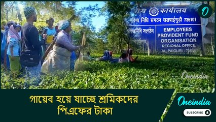 ডুয়ার্স জুড়ে সক্রিয় দালাল চক্র! গায়েব হয়ে যাচ্ছে শ্রমিকদের পিএফের টাকা