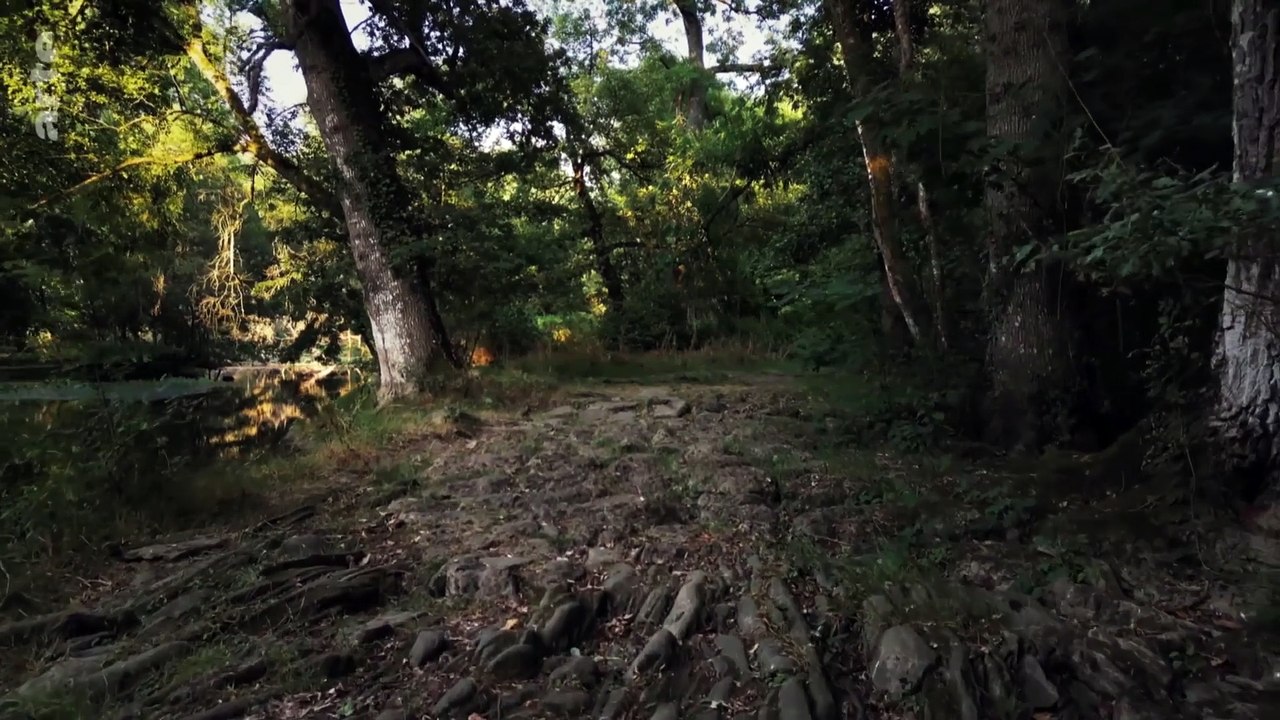 A History of Peasants 1of4 The Beginning