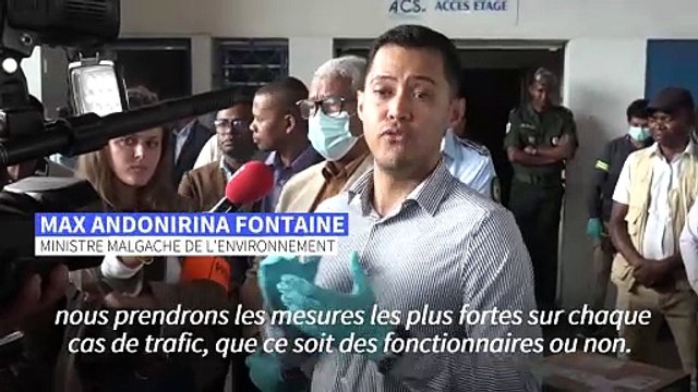 Retour à Madagascar de lémuriens et tortues en danger d'extinction