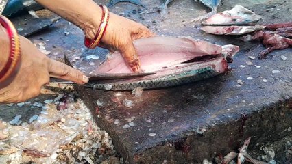 Sardinella Maderensis Fish Cutting at India Market  SMN Fish Cutting