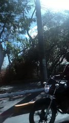 Incêndio atinge Parque do Cocó, em Fortaleza, nesta segunda-feira, 2