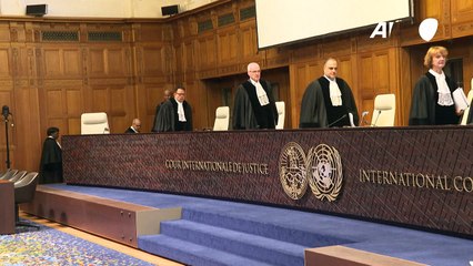 La CIJ busca un marco jurídico para proteger el medioambiente