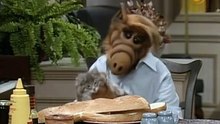 ALF 04x09, Vive y deja Morir