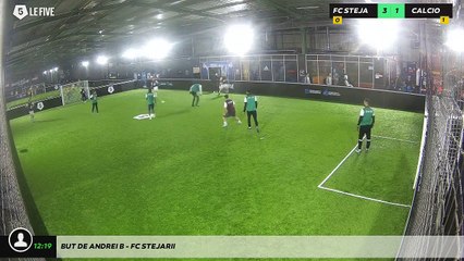 But de Andrei B - Fc Stejarii