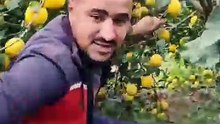 خيرااات كبيرة الله يبارك🍋🍋