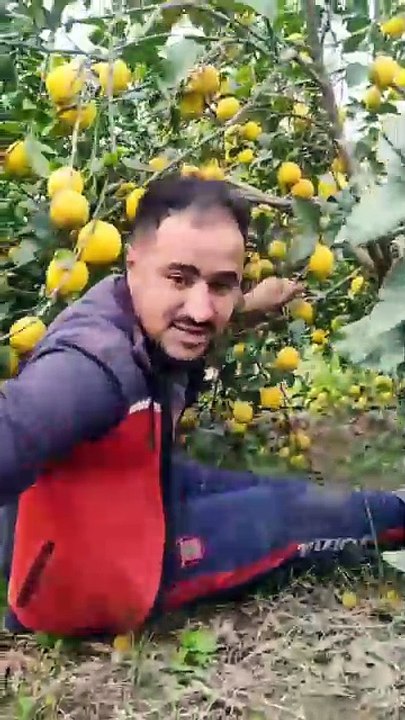 خيرااات كبيرة الله يبارك🍋🍋