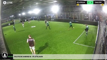 Faute de Andrei B - Fc Stejarii