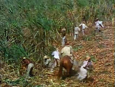 Historia de la humanidad: Los esclavos