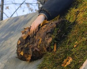 Green escape! Crafting a cozy hut with nature’s materials!