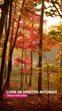 ✅💘Música folhas de outono para relaxamento profundo e meditação #Shorts