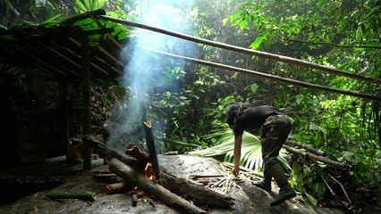EP.262 - Pesca em riachos, coleta de alimentos silvestres na chuva