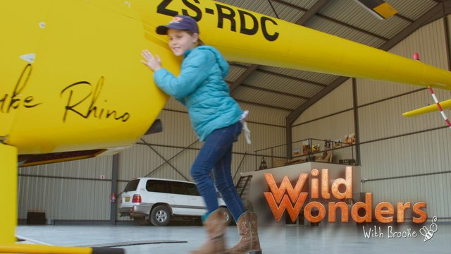 It's Going To Be A Bumpy Ride! | Wild Wonders with Brooke Clip | EarthX
