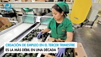 Creación de empleo en el tercer trimestre es la más débil en una década