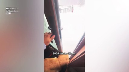 Heavy snow too much for dogs to play in New York