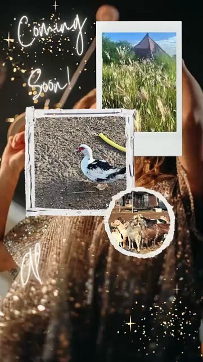 Al Firdoos Farm soon!