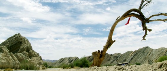 Cold Highway | movie | 2021 | Official Trailer