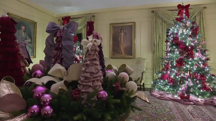 [나우쇼츠] 백악관에서 보내는 바이든 부부의 마지막 크리스마스 / YTN