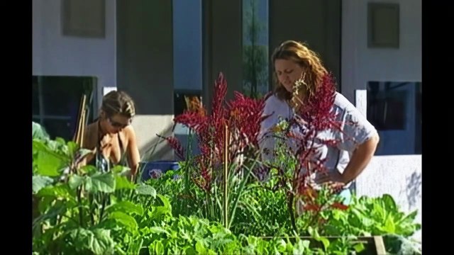 069-Big Brother Australia Season 03, Day 45a,Daily Show, Tuesday, 10 June 2003