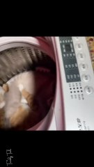 Secret in my washing machine