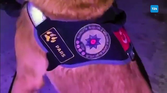 76 ilde eş zamanlı operasyon; 2 ton uyuşturucu madde ele geçirildi, 2 bin 248 şüpheli gözaltına alındı