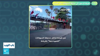 شبكة عروس تحير المتابعين في السعودية