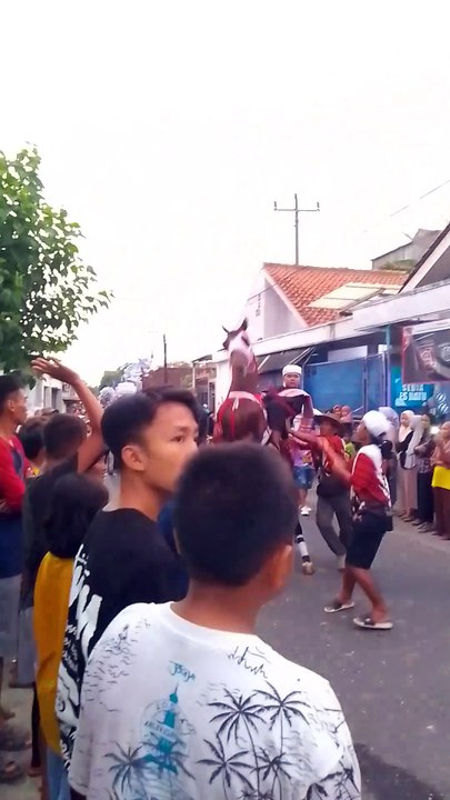 kuda jingkrik