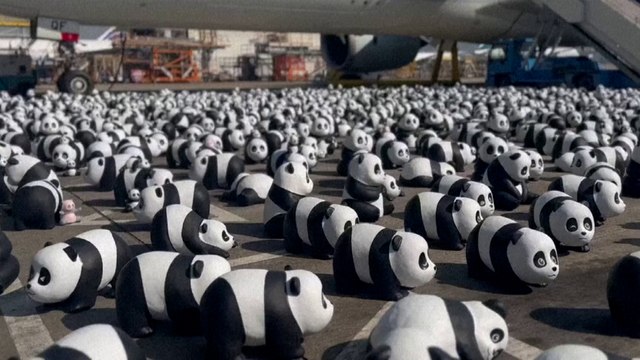 ¿Qué hacen más de 2.500 osos pandas en el aeropuerto de Hong Kong?