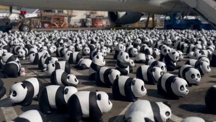 ¿Qué hacen más de 2.500 osos pandas en el aeropuerto de Hong Kong?
