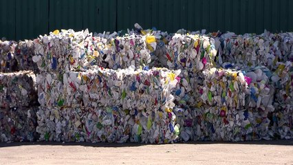 El bagazo, un subproducto que contribuye a la sostenibilidad de la industria cervecera