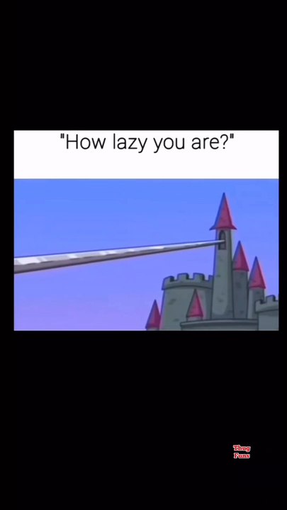 Meme Videos