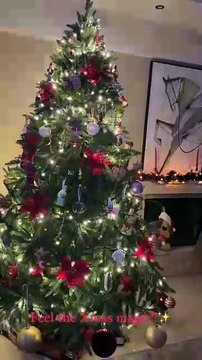 Ανθή Βούλγαρη: Το στολισμένο δέντρο & το απίθανο στιγμιότυπο από το σαλόνι της