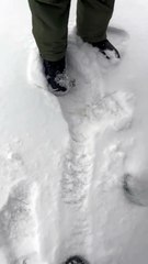 Gateway of Ladakh Snow fall