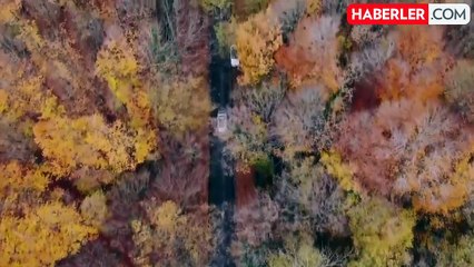 ''Belgrad Ormanı imara açılıyor'' iddiası ile ilgili beklenen açıklama