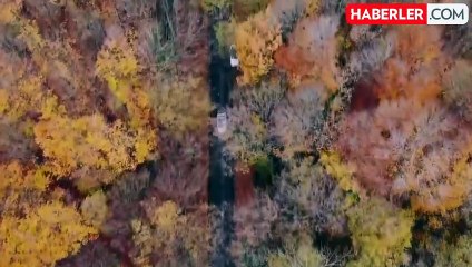 "Belgrad Ormanı imara açılıyor" iddiası ile ilgili beklenen açıklama