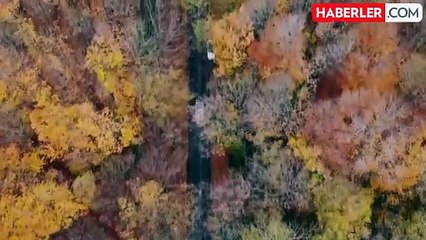 "Belgrad Ormanı imara açılıyor" iddiası ile ilgili beklenen açıklama