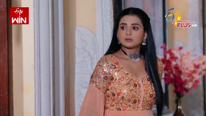 Sitara Episode 214 Part 2 - Aarya braces to move on - November 29 2024 | ETV Plus