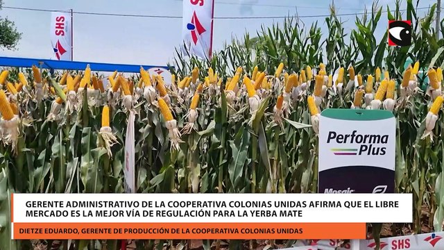 Gerente administrativo de la cooperativa Colonias Unidas afirma que el libre mercado es la mejor vía de regulación para la yerba mate