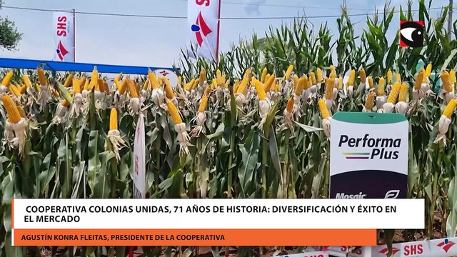 Cooperativa Colonias Unidas, 71 años de historia: Diversificación y éxito en el mercado
