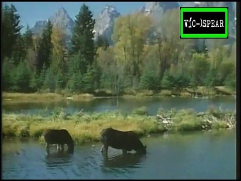 Cazadores: La Jauria Salvaje - Documental (1994) Español Latino *Ep. 10